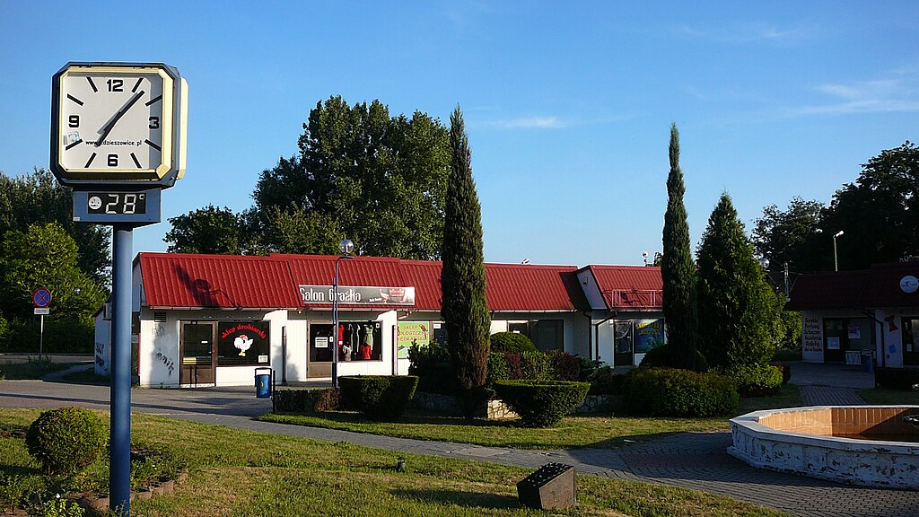 Przewóz busem ze Zdzieszowic do Holandii