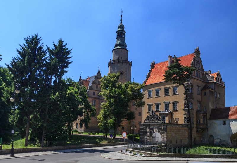 Przewóz busem z Oleśnicy do Holandii