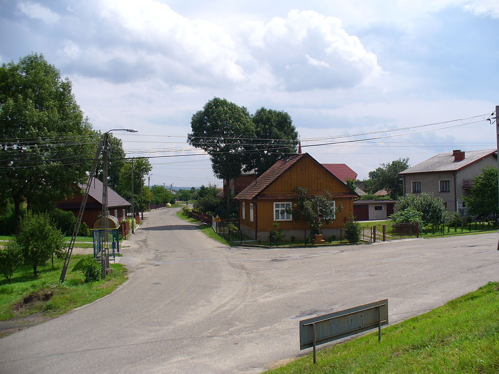 Przewóz busem z Białej do Holandii