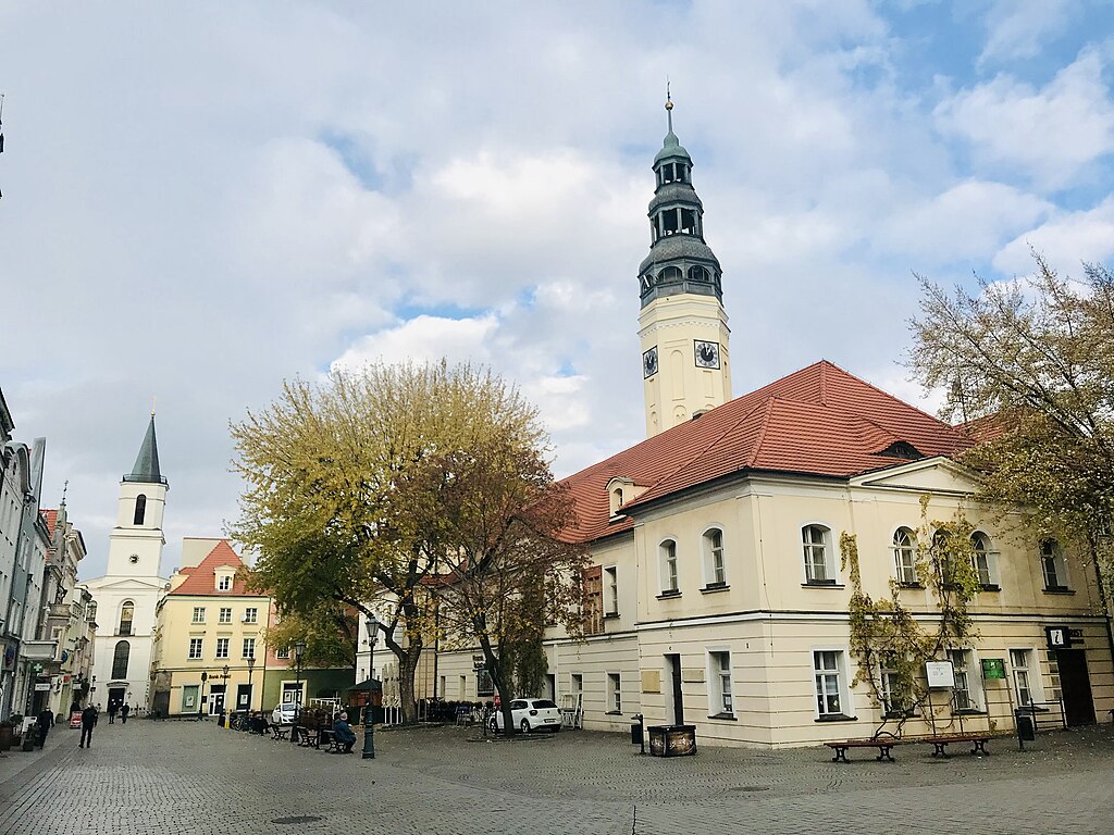Przewóz busem z Zielonej Góry do Holandii