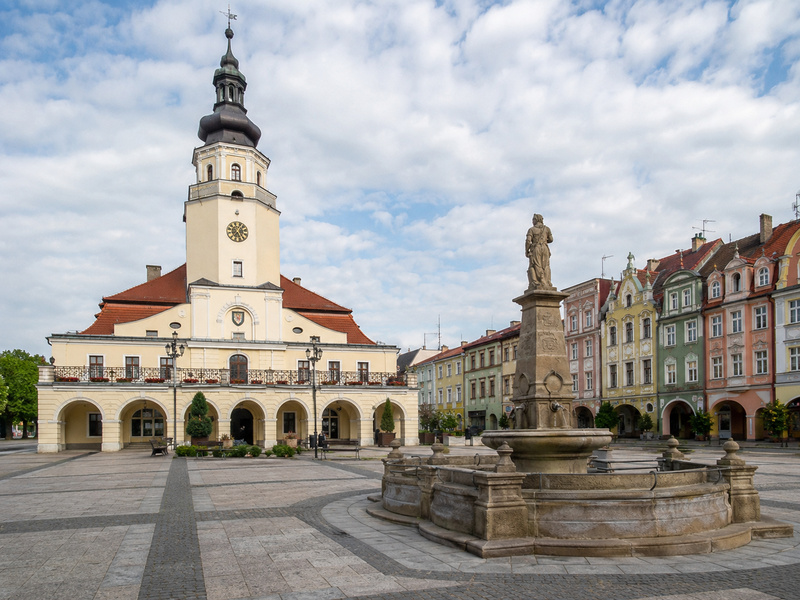 Przewóz busem z Raciborza do Austrii