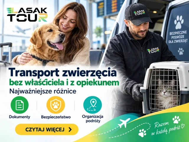 Transport zwierzęcia bez właściciela i z opiekunem – najważniejsze różnice