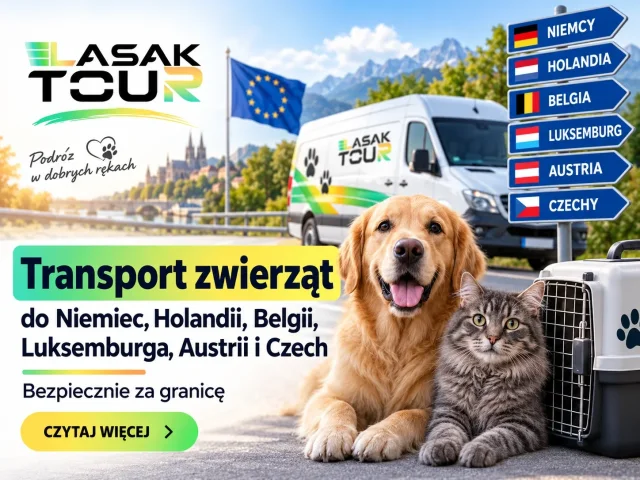 Transport zwierząt do Niemiec, Holandii, Belgii, Luksemburga, Austrii i Czech